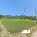 당평초등학교 이미지