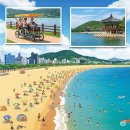 경포의하루