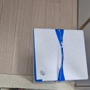 소호4길 | 시고르자브종 가나디 구경하러 이번주 일상 드루와🐶