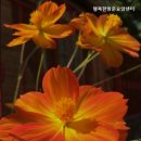 행복한방문요양센터 | 용인요양원 행복한방문요양센터 가족의 마음을 담은 요양원