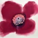 스밈 이미지