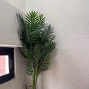 정이든 스테이 이미지