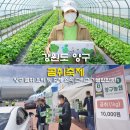 양구읍 게이트볼장 | 강원도 양구 가볼만한곳 곰취축제와 곰취요리
