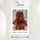 헤어클리닉/ 염색 파마 순서/ 건대 모발 클리닉/ 건대 두피 클리닉/ 헤어클리닉 주기/ 더 디얼스 지윤실장