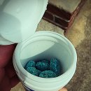 확신의 덫 | 쥐 덫만들기 검색하는 분들께, 제가 써본 더 강력한 방법