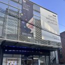 강남약국 | [강남] 옵티마 웰니스 뮤지엄 약국 다녀온 후기! 미술관같은 약국이 있다?! 💊🥴💛 (feat.내부사진/건강...