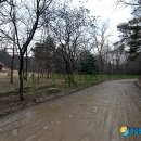 파주삼릉 이미지