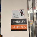 탕정온천 더프라하 스파 | 아산 탕정 온천 사우나 더프라하 스파 무료 쿠폰 할인 방법 최근후기