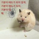 여러분 모두 안녕하시렵니까?
