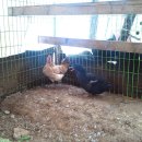 월남농장 이미지