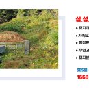 정선하늘터 이미지