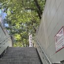 동현미용실 | 해운대 장산역 미용실 추천 매직으로 찰랑한 머릿결 후기