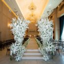 디엘사이언스 이미지