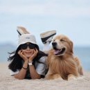 우리강아지 이미지