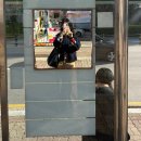 노을이내리는나루 | ③4월일상) 1년내내 이 날씨라면 얼마나좋을까!!!☀️✨🍀