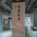 황제수족관 | 삿포로 여름 여행 - 아오아오 아쿠아리움, 수족관 야간개장 후기, 한국인 없는 삿포로 명소, 아이들과...
