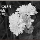 ﻿이월선님의 부군 17일 09시 별세 이미지