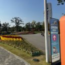 연향3어린이공원 | 여수순천여행 가볼만한곳 순천만국가정원 야간개장 순천만습지 갈대밭 주차 입장료 꿀팁