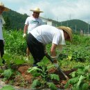 조이농장 이미지