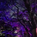 인천 수봉공원 밤 야경과 ~~ 이미지