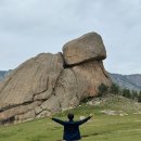 여기 | 몽골 여행 6월 고비사막 일정, 여기트래블 후기