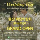 럭키하이마트