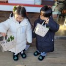 (온라인)쓰담쓰담 힐링 타로 | 포천 가볼만한곳 마이애니멀스토리 평강랜드 후기