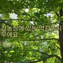 정윤농장 이미지