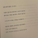 너는 내게 눈물 나게 다정했고 그러지 말았어야 해 이미지