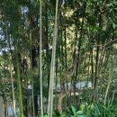 오션하우스 이미지