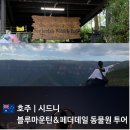 블루관광여행사㈜ | 호주 시드니 투어 추천 블루마운틴 &amp; 페더데일 동물원 예약 할인 솔직후기