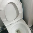 변기막힘 이미지