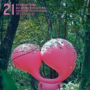 엔케이21 이미지