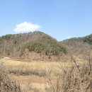 유가솜씨 이미지