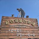 고흥 만남의 광장 | [고흥여행]아이와 강아지가 함께한 1박 2일! 고흥반값여행 후기(신스펫앤키즈글램핑 숙소/행복마굿간 체험)