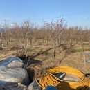 세세농장 이미지