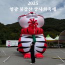 제2구경길 금강산 해탈의 길 | 영광 불갑산 상사화 축제 2025 개화상황, 장터