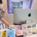 101애견유치원 | 부천 애견미용 돌리샵 | 3년째 다니는 내돈내산 후기
