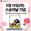 봉정로8(모범약국) | [공지] 하남 스승의날 이벤트, 스팀 안대 앵콜서비스 [하남 설명한의원]