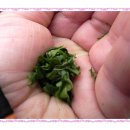 글사랑방 이미지