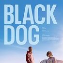 BLACKDOG COMPANY