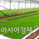 보성유기질비료 이미지