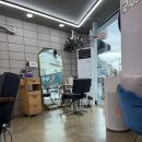 나비헤어 | 🌷강릉 감성미용실 ‘반함헤어’ 뿌리염색 후기✨ 고양이 나비와 함께한 포근한 하루