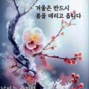 압해중학교 이미지