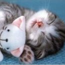 갈매기펜션 이미지