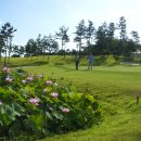 오션뷰컨트리클럽 이미지