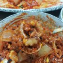 낙지청춘 이미지