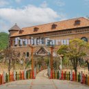 민솔농장 이미지