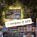 테이블에이 | 송도 테이블에이 후기｜거북이·알파카와 교감한 두 번의 방문