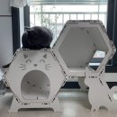 제니펫하우스 이미지